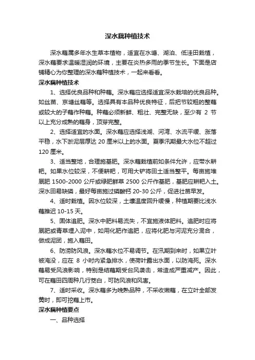 深水藕种植技术