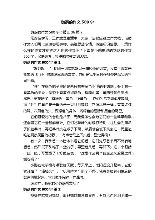 鹦鹉的作文500字（精选36篇）