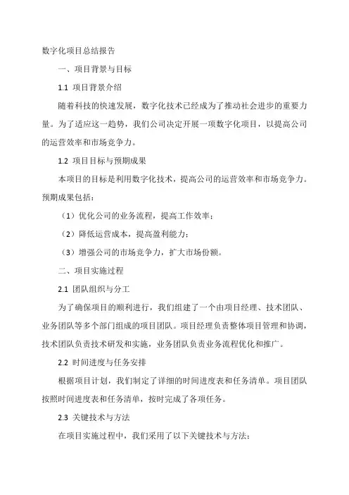 数字化项目 总结报告