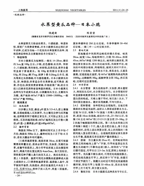 水果型黄瓜品种一日本小脆