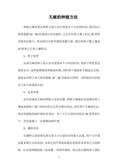 天麻的种植方法