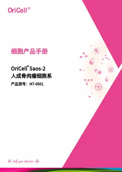 OriCell-H7-0501 人成骨肉瘤细胞系说明书