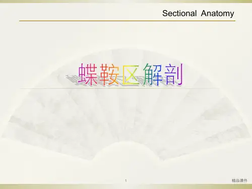 蝶鞍区解剖ppt课件