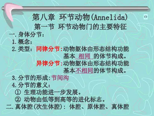 第八章 环节动物(Annelida) 动物学 教学课件
