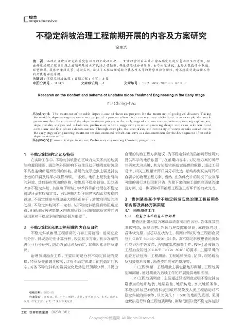 219390965_不稳定斜坡治理工程前期开展的内容及方案研究