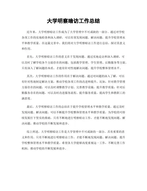 大学明察暗访工作总结