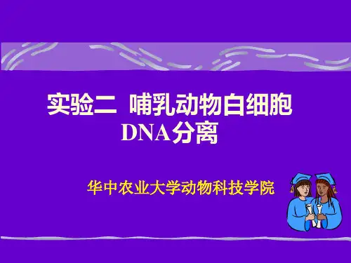 《分子生物实验》教学课件：实验二  哺乳动物白细胞DNA分离