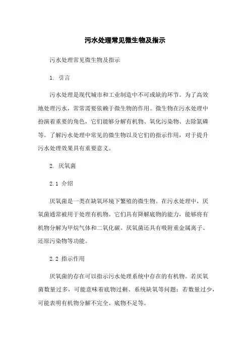 污水处理常见微生物及指示