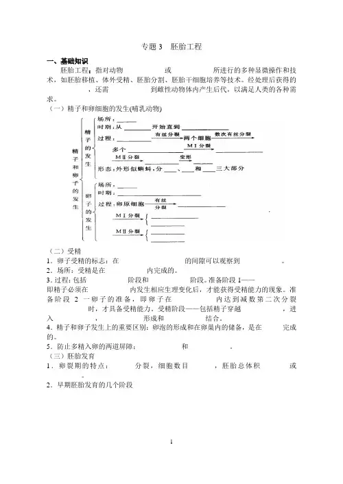 胚胎工程