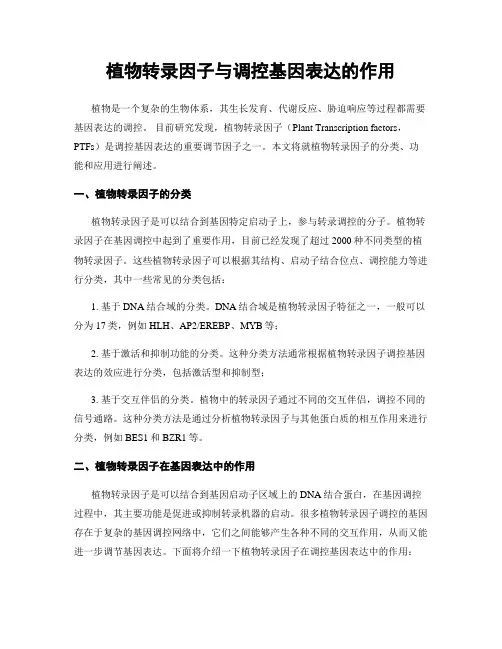 植物转录因子与调控基因表达的作用