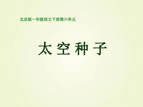 24《太空的种子》PPT课件