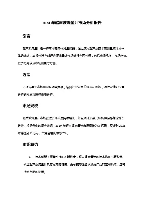 2024年超声波流量计市场分析报告