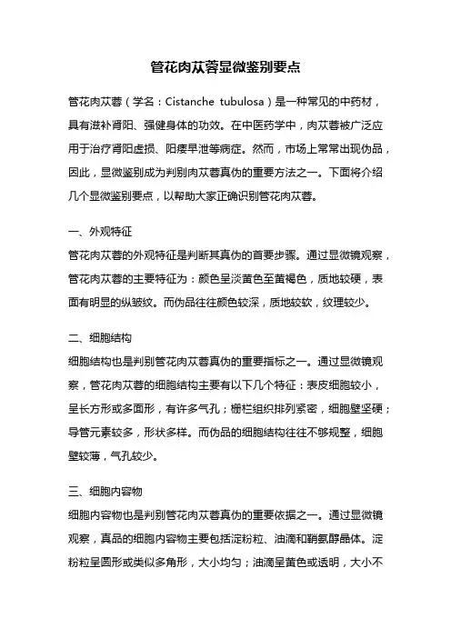 管花肉苁蓉显微鉴别要点