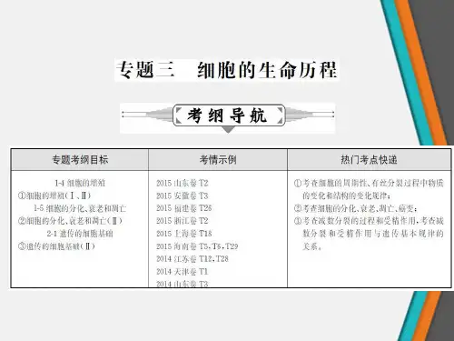 细胞的增殖分裂和受精作用