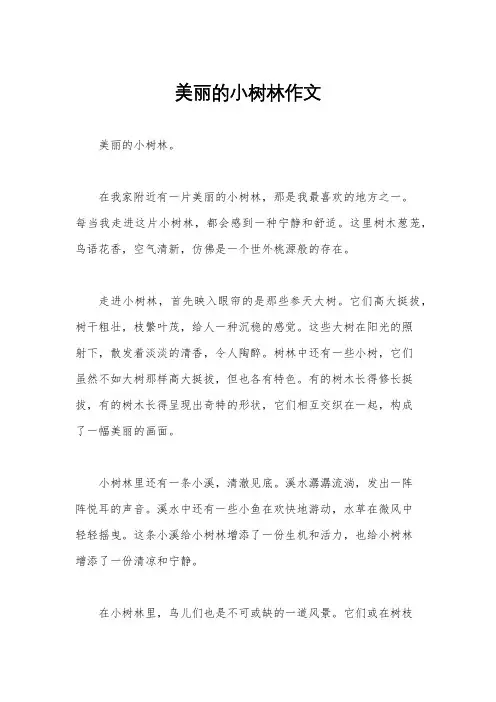 美丽的小树林作文