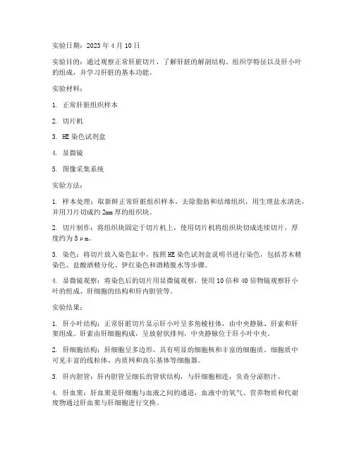 正常肝脏切片实验报告