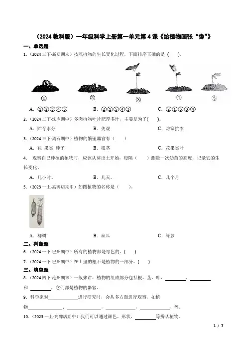 2024秋教科版一年级科学上册：同步课时练习  第01单元第4课《给植物画张“像”》(学生版)