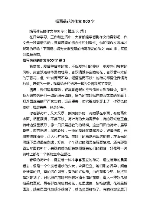 描写荷花的作文800字