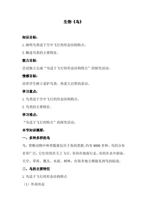 生物《鸟》