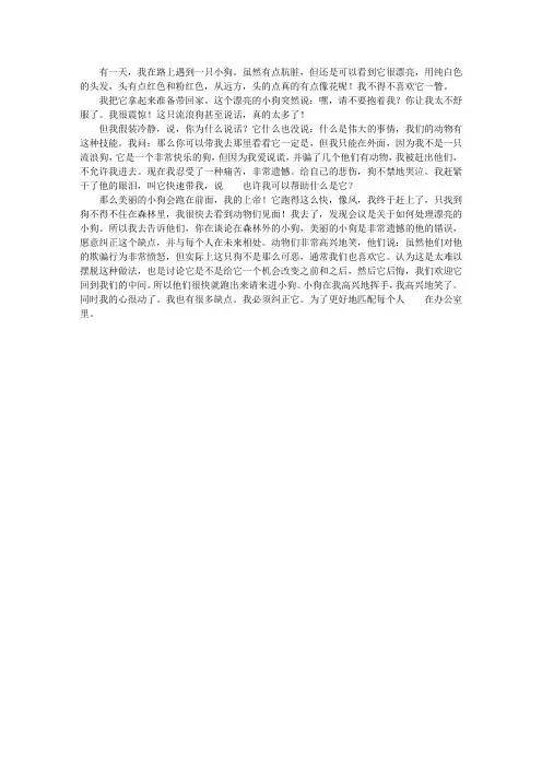 我与一只流浪狗的故事