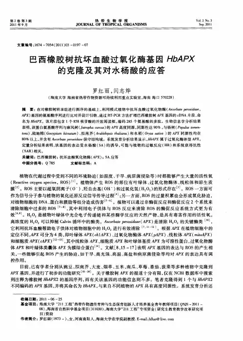 巴西橡胶树抗坏血酸过氧化酶基因HbAPX的克隆及其对水杨酸的应答