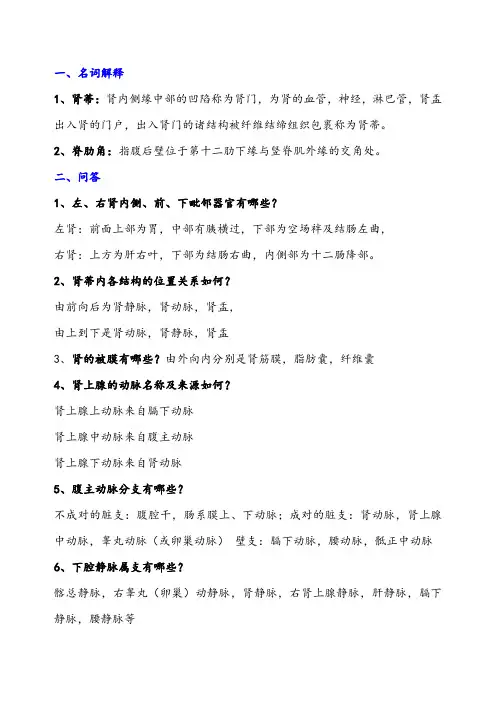 腹膜后间隙-解剖重点及参考答案