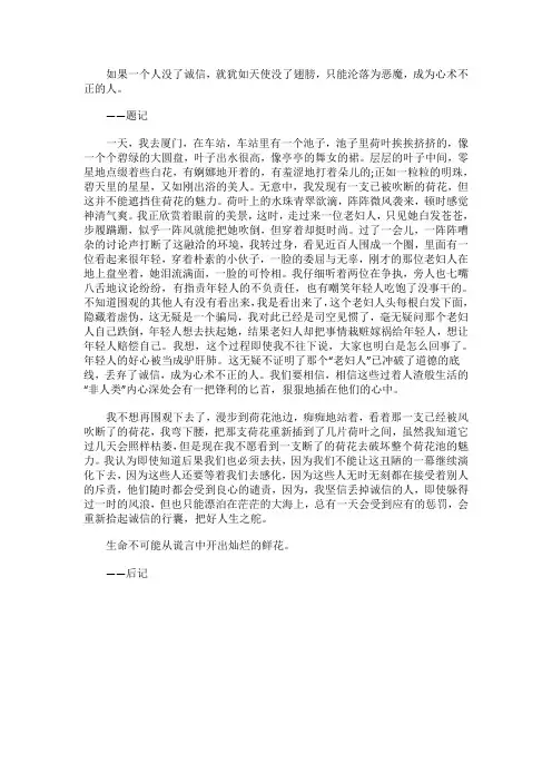 丢弃诚信的老妇人_900字