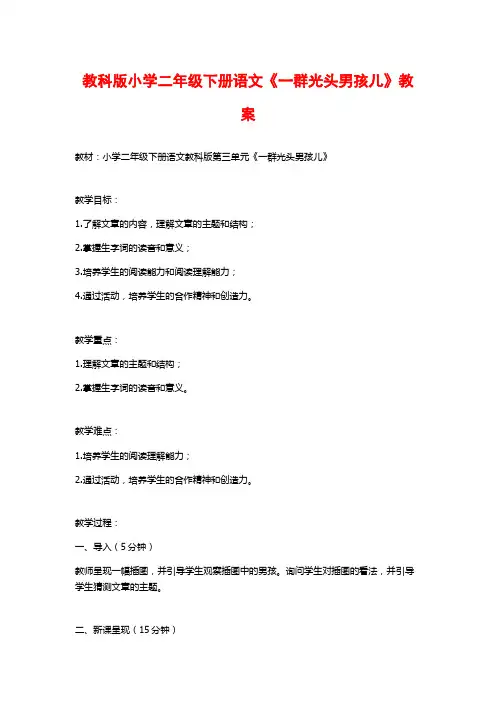 教科版小学二年级下册语文《一群光头男孩儿》教案