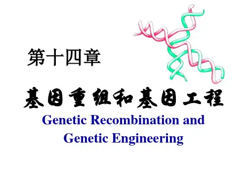自然界的基因转移和重组