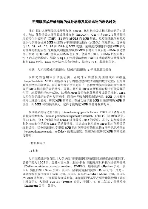 牙周膜肌成纤维细胞的体外培养及其标志物的表达时效