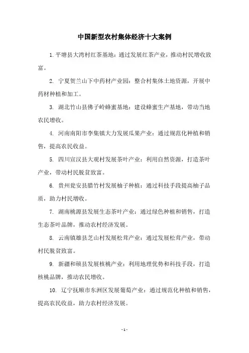 中国新型农村集体经济十大案例