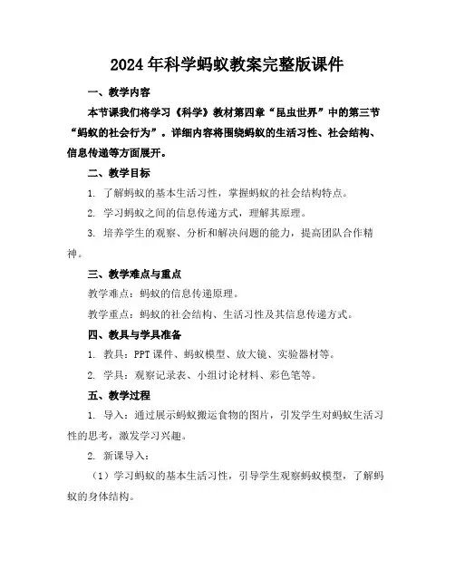 2024年科学蚂蚁教案完整版课件