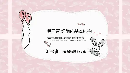 生物必修一第三章第二节知识点