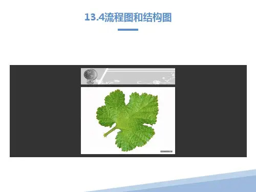 流程图和结构图
