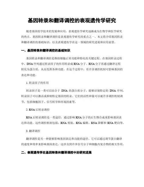 基因转录和翻译调控的表观遗传学研究