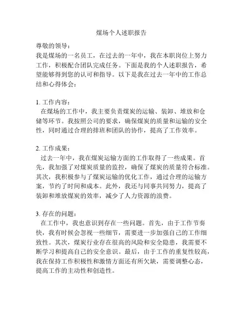 煤场个人述职报告