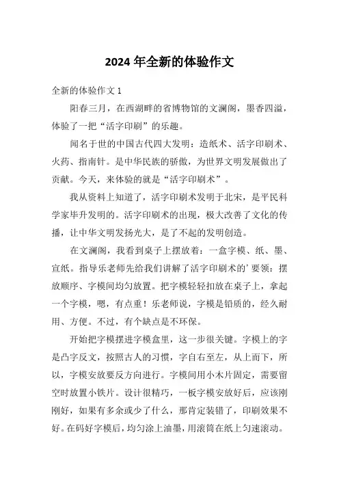 2024年全新的体验作文