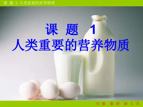 九年级化学人类重要的营养物质