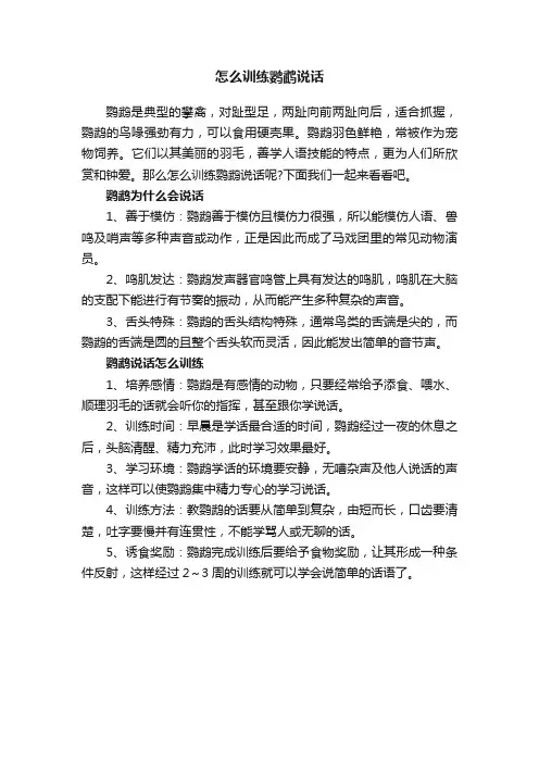 怎么训练鹦鹉说话