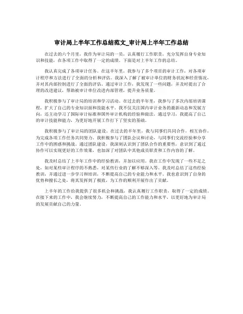 审计局上半年工作总结范文_审计局上半年工作总结