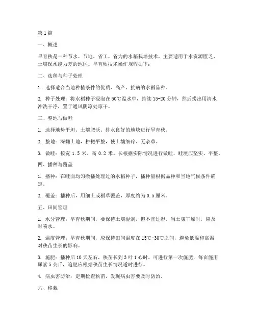 旱育秧技术操作规程(3篇)