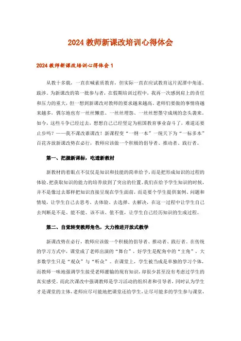 2024年教师新课改培训心得体会_1