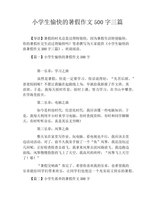 小学生愉快的暑假作文500字三篇
