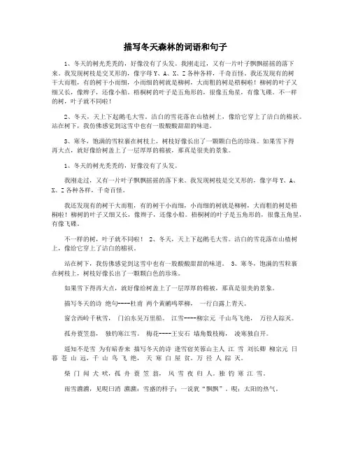 描写冬天森林的词语和句子