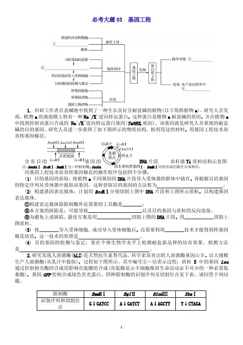 2024届高三一轮复习生物：必考大题03——基因工程练习