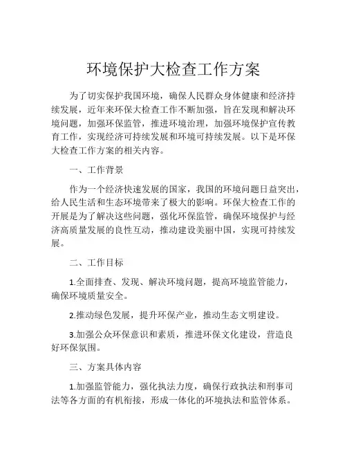 环境保护大检查工作方案
