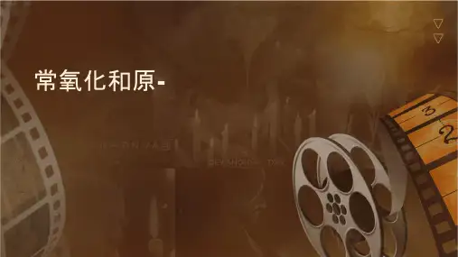 常见氧化剂和还原剂铁课件