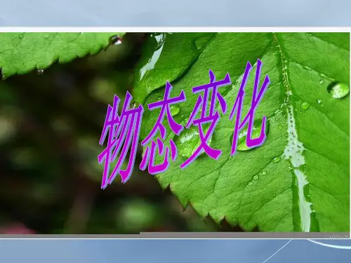 《第三章-物态变化》ppt课件