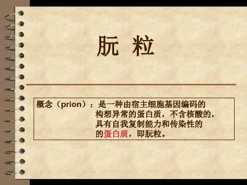 朊粒