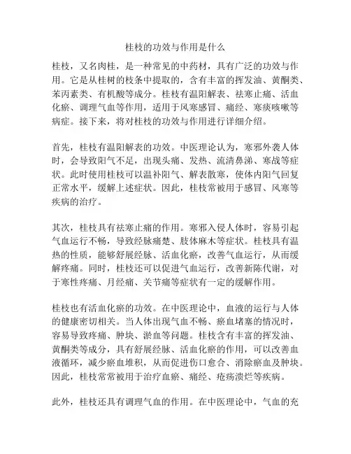 桂枝的功效与作用是什么